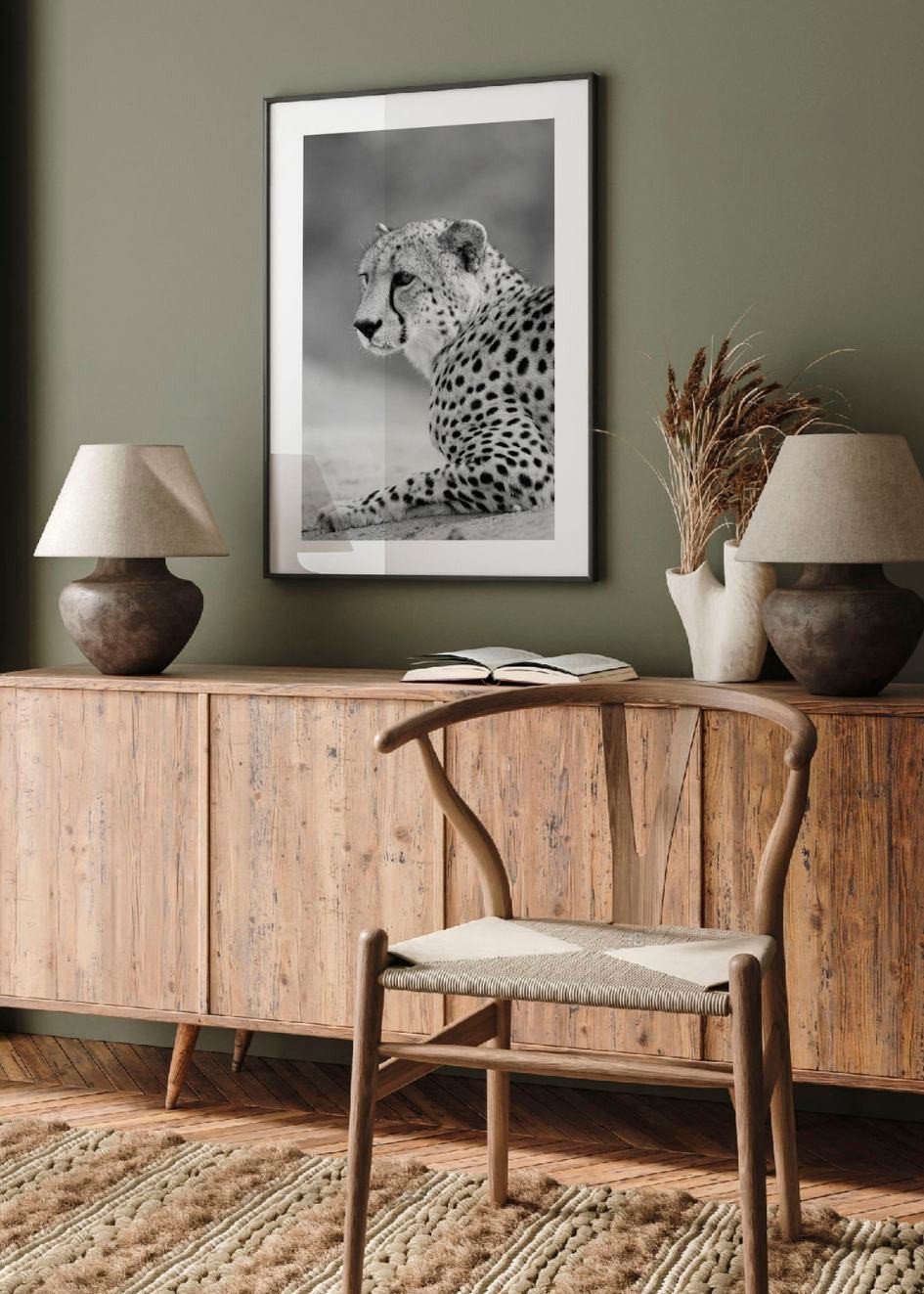 Gepard Bilder