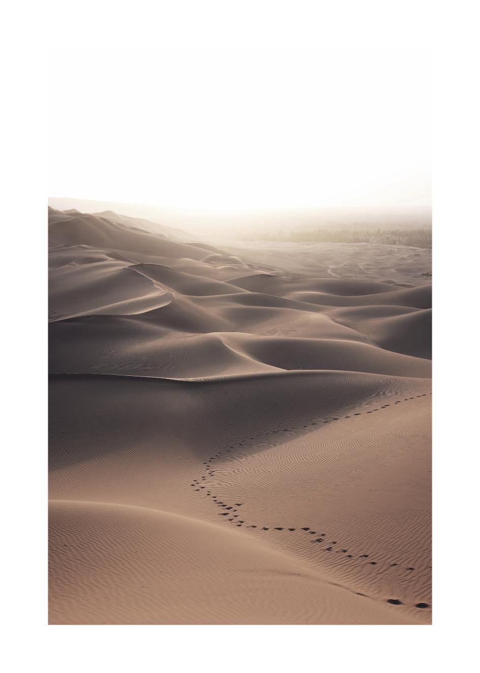 Poster Wüste