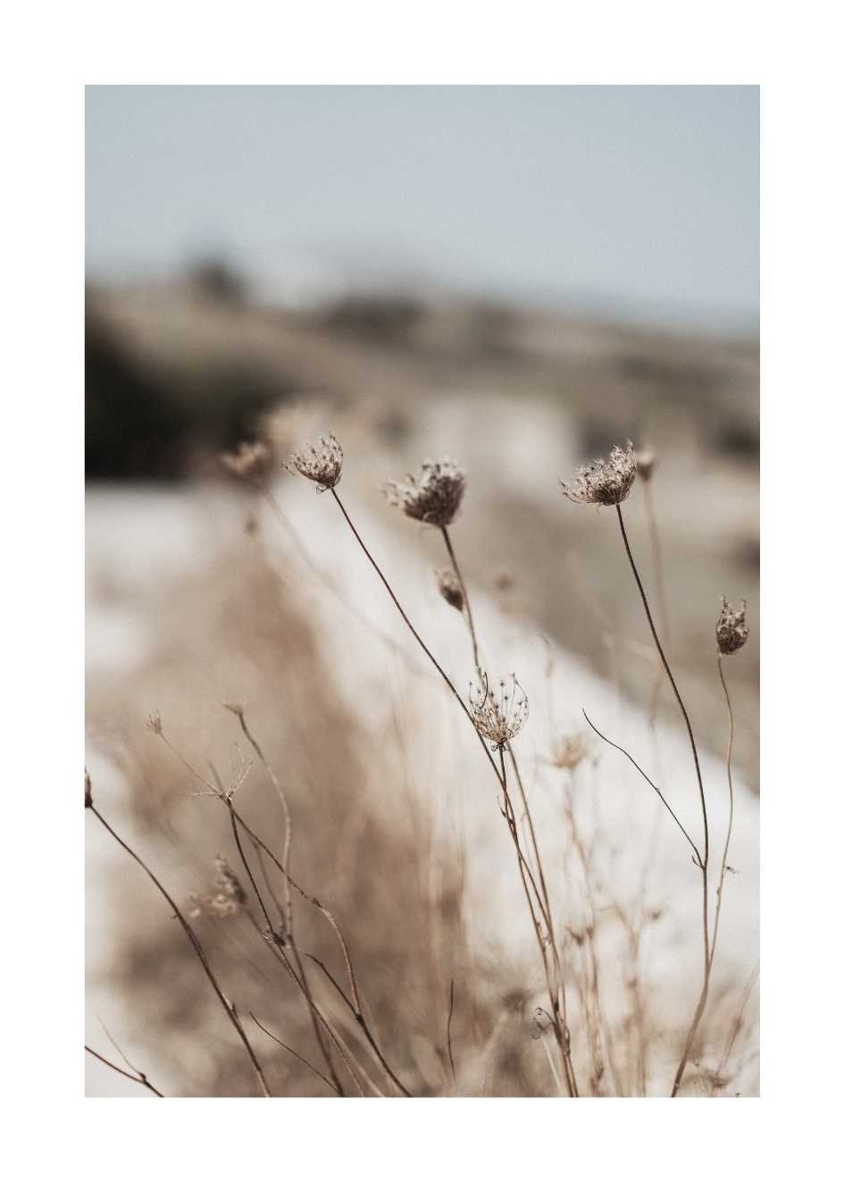 Poster mit blumen