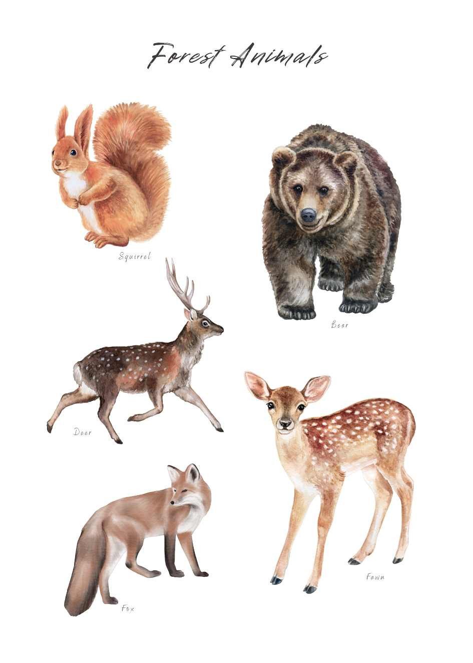 Plakaty ze Zwierzętami dla Dzieci
