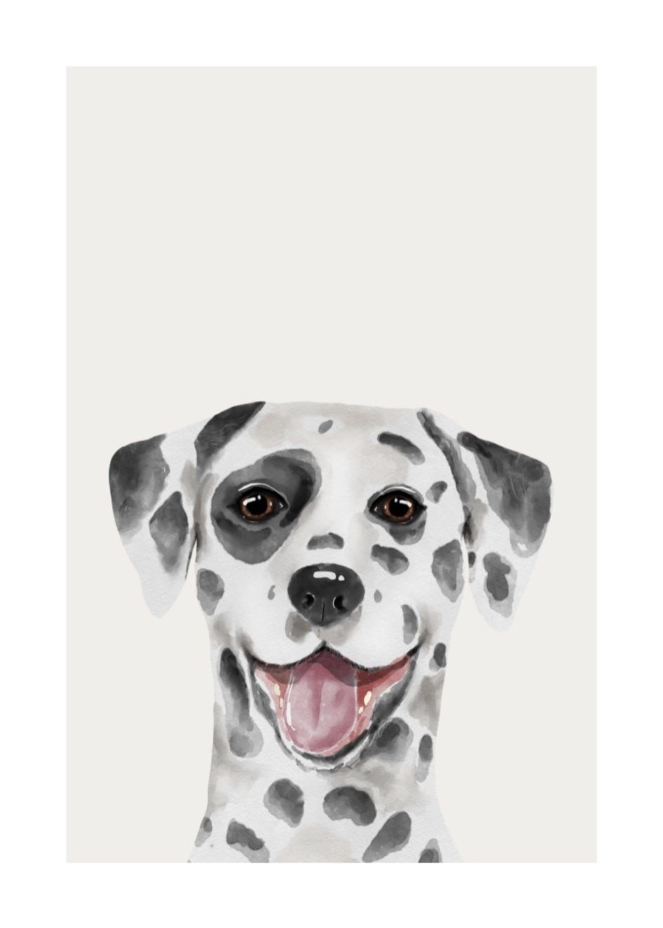 Poster Dalmatian