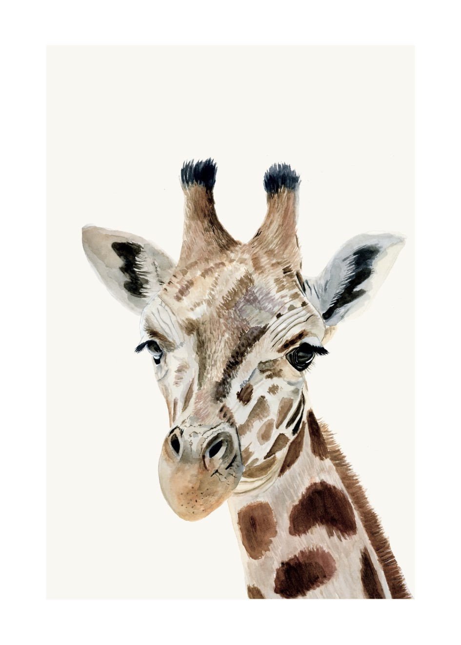 Plakat Żyrafa