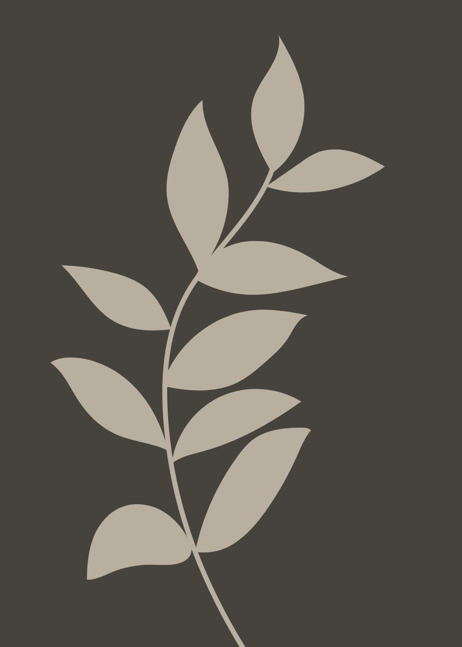 Pflanzen illustrationen