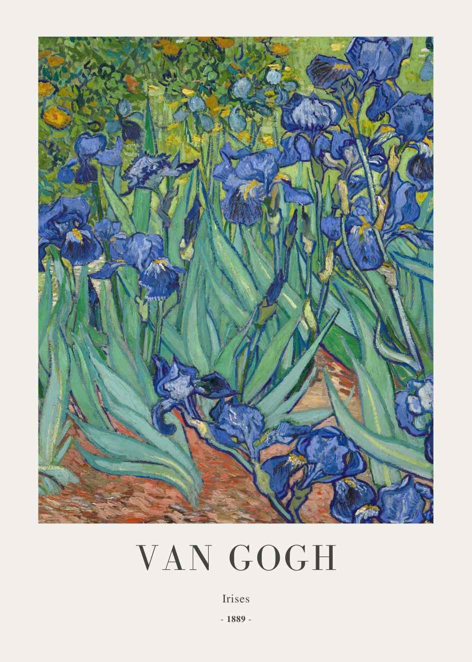 Vincent Van Gogh - Irises...