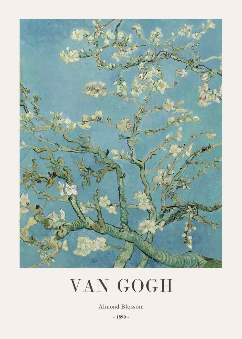 Vincent Van Gogh - Almond...