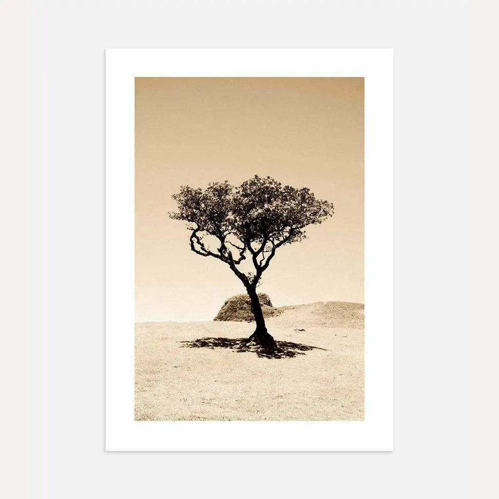 Solitary Tree Poster