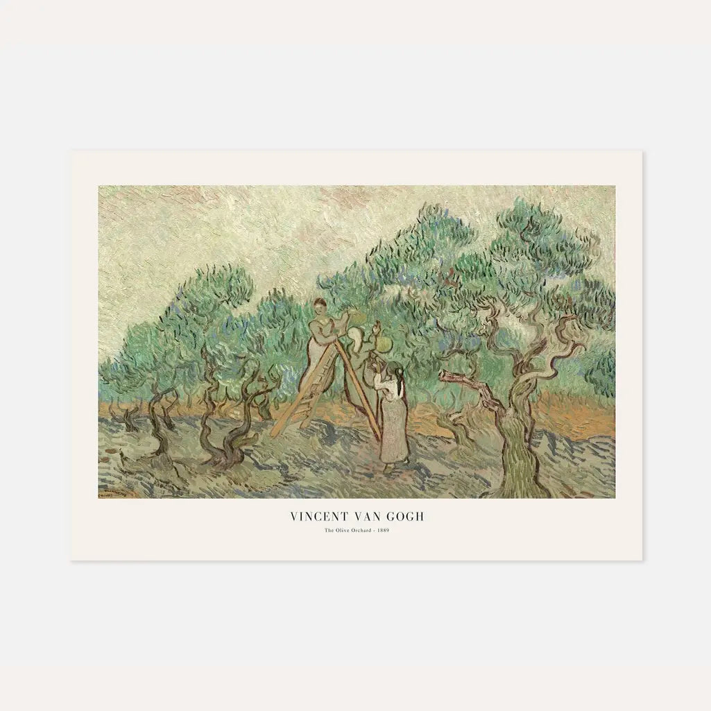 Vincent van Gogh The Olive Orchard Poster