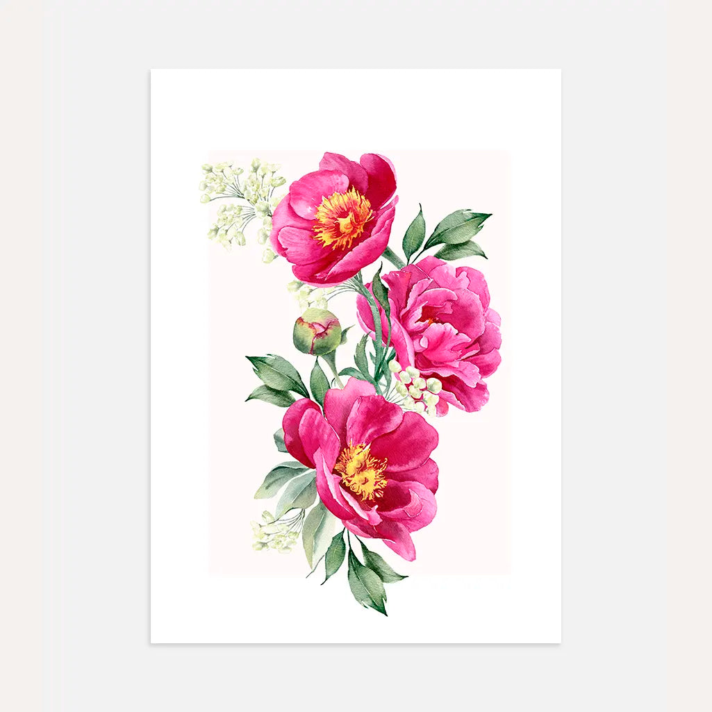 Pink Peonies Watercolour Poster