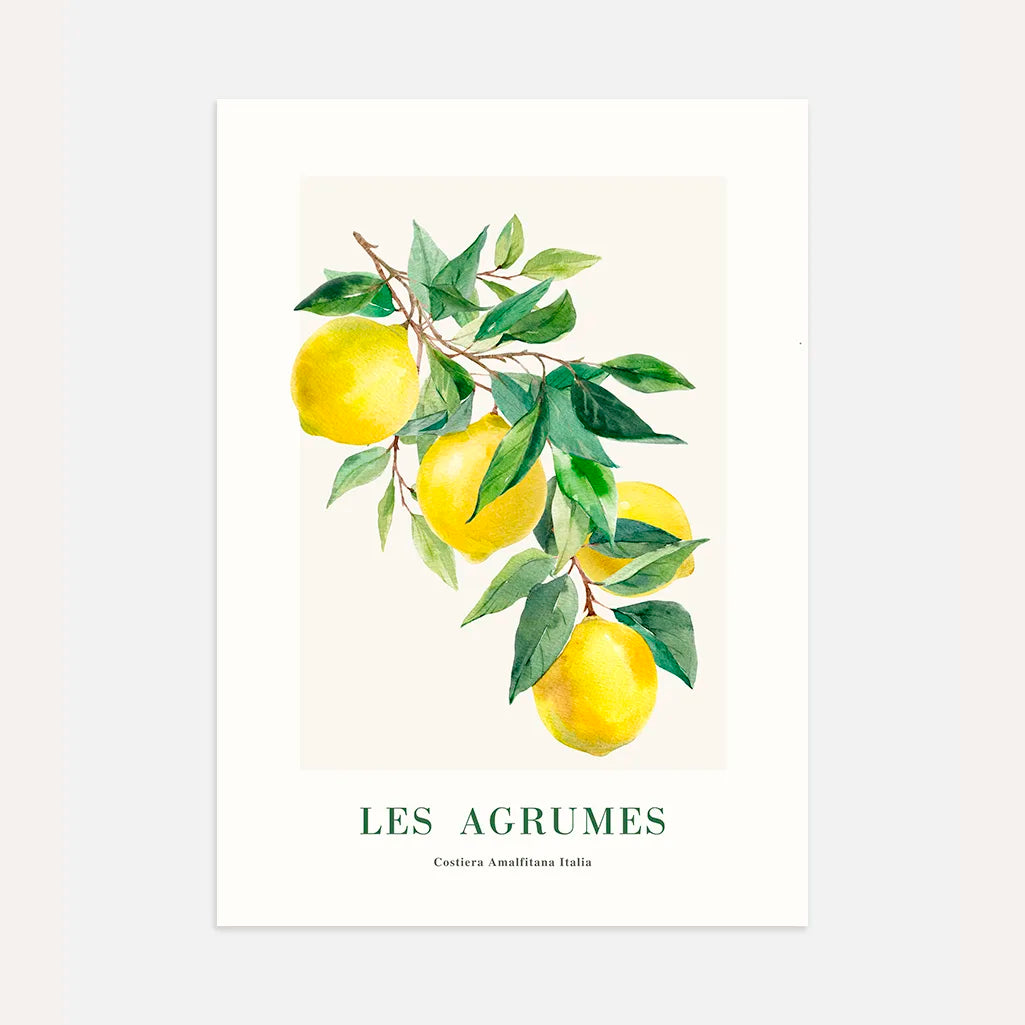 Les Agrumes Amalfi Lemon Poster