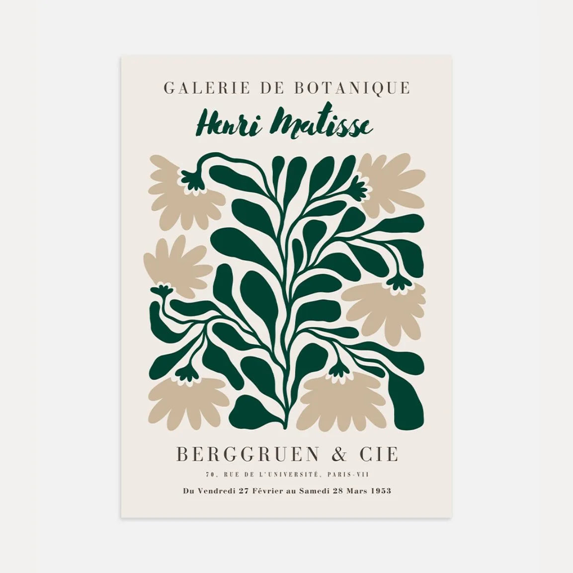 Henri Matisse Botanical Flowers Poster