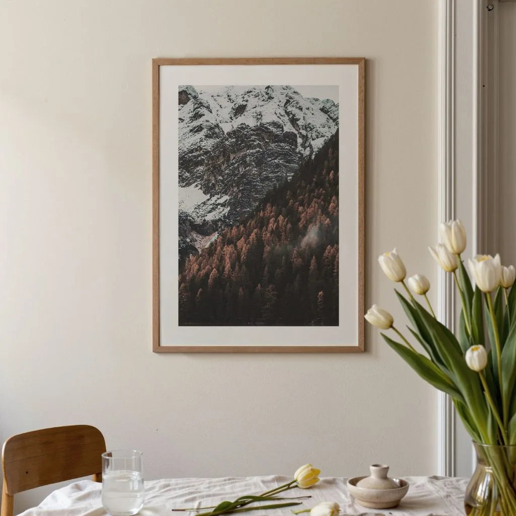Mountain Contrast Poster