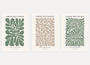 abstract botanical poster set wall art for living room