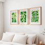 abstract botanical poster set wall art for interior design