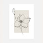 anemone floral silhouette poster beige minimalist botanical wall art