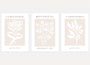 beige botanical poster set wall art for living room