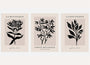 black botanical silhouette poster set beige minimalist wall decor