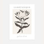 botanischer zweig line art poster beige schwarz minimalistische wandkunst