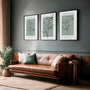 green botanical drawing poster set wall art for bedroom decor