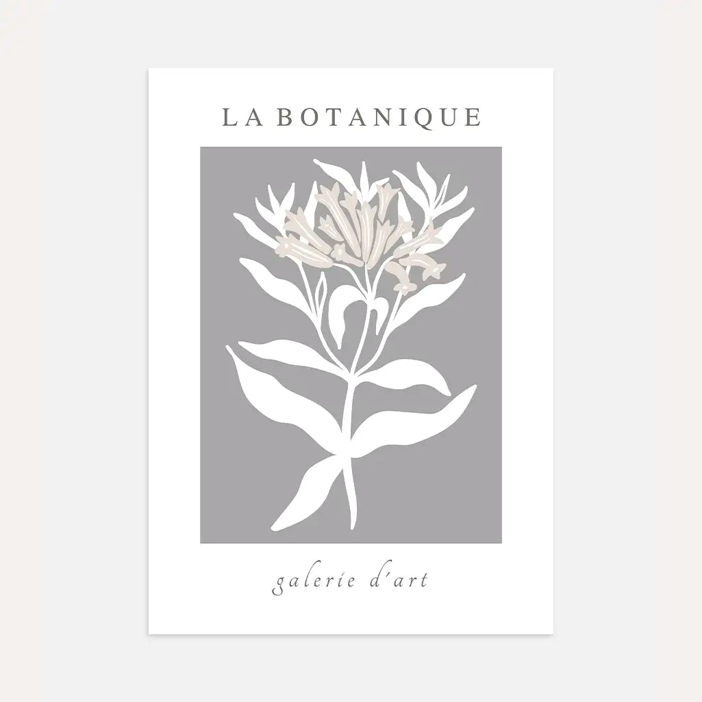 botanique grey bloom poster cream floral line art grey background