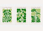 green botanical abstract poster set wall art for living room decor