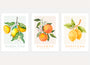 yellow lemon branch botanical poster set wall art for kitchen decor mediterranean style