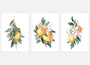 yellow lemon branch botanical poster set wall art for living room decor