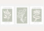 white sage green botanical poster set wall art for bedroom decor