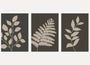 minimalist leaf poster set wall art for living room decor