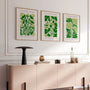 botanical forms poster set wall art for modern home decor