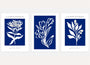 white botanical poster set navy blue wall art for living room decor