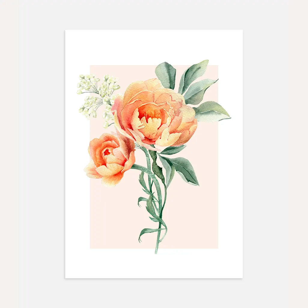 peony watercolour poster soft peach tones botanical wall art