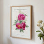 pink peonies floral poster gallery wall vintage elegant decor