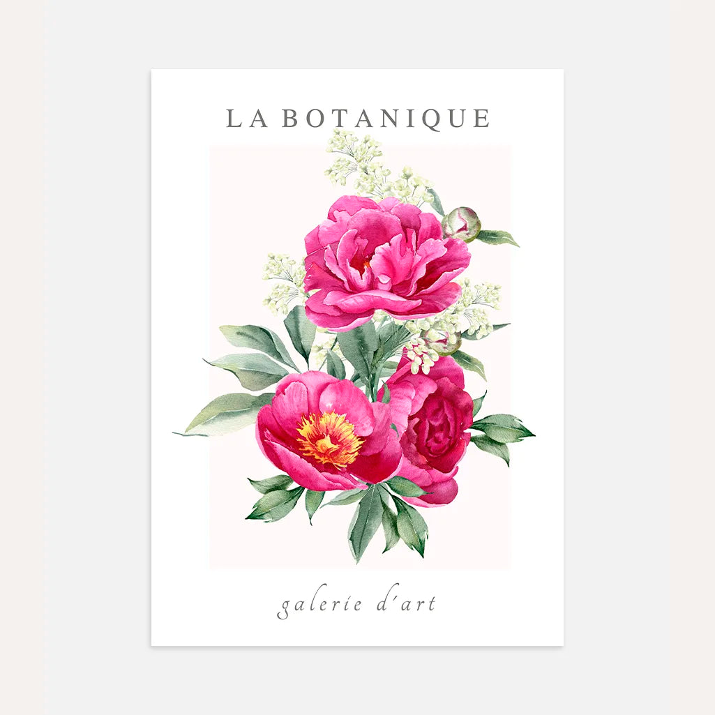pink peonies watercolour elegance poster romantic floral wall art