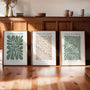 abstract plant poster set wall art for bedroom