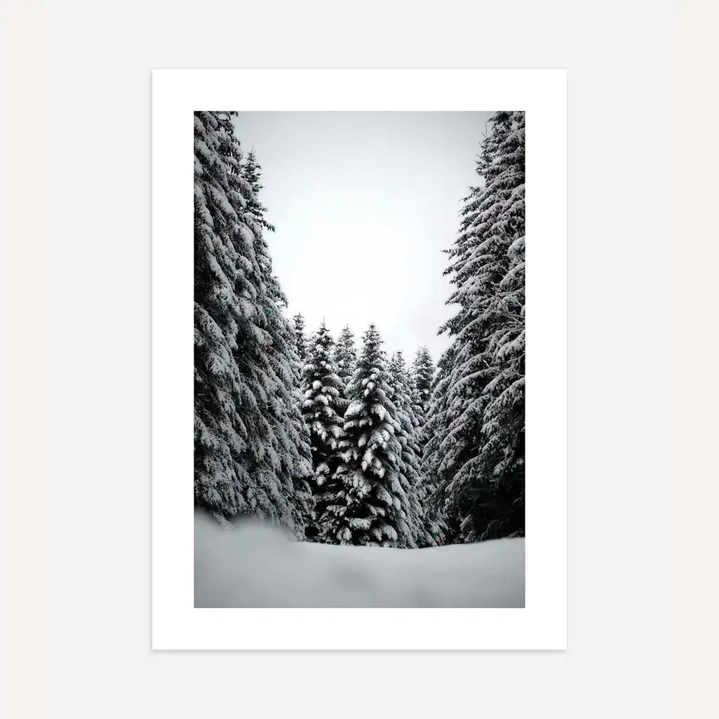 winter forest black white poster wall art